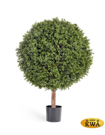 Самшит Шар-Гигант уличный новый в-120 см д-90х80 см 1/1