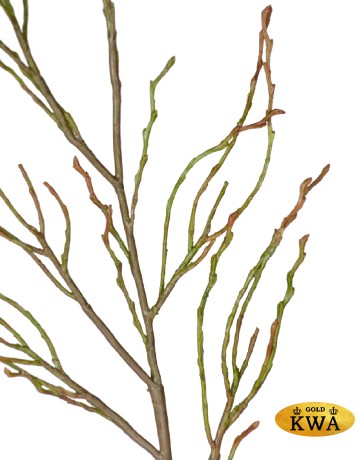 Ветвь зелёно-коричневая в-70 см 12/144