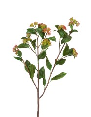 Ветвь Калликарпы зелёно-бордовая в-63 см 12/48