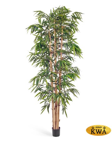 Бамбук Новый Гигантский Биг Лиф 300 см 2/2