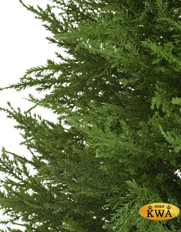 Кипарис Тауэр Элегант уличный новый в-90 см 2/2