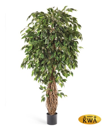 Фикус лиана де люкс 150 см 2/2