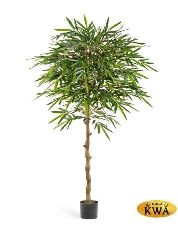 Бамбук Новый зонтичный 180 см 2/2