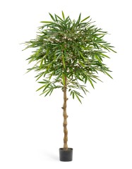 Бамбук Новый зонтичный 180 см 2/2