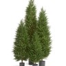 Кипарис Тауэр Элегант уличный новый в-150 см 1/1