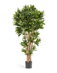 Кротон Голдфингер Рефлекса 150 см 2/2