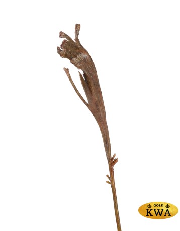 Ветка Салекса коричневая в-55 см 12/96