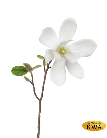 Магнолия белая ветвь малая в-37 см, 1 цв-д-19 см 12/72