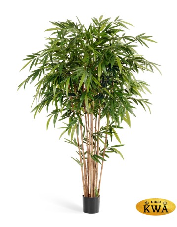 Бамбук Новый натуральный 240 см 2/2