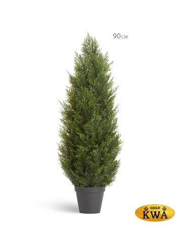 Туя уличная Брабант пушистая в-150 см 2/4