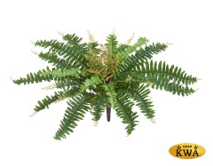 Папоротник Бостон Новый зеленый микс в-20 см, д-50 см (23 листа) 12/144