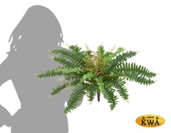 Папоротник Бостон Новый зеленый микс в-20 см, д-50 см (23 листа) 12/144