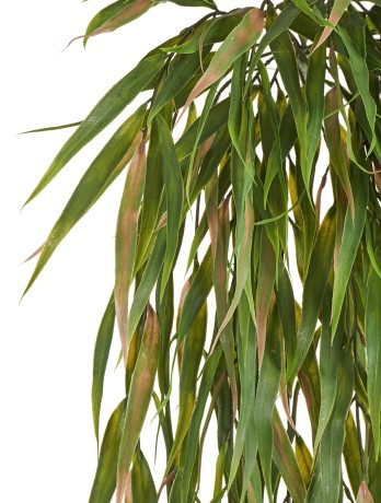 Эвкалипт узколистный ампельный зеленый с розовым (пластик) 12/48