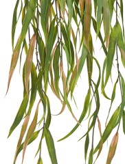 Эвкалипт узколистный ампельный зеленый с розовым (пластик) 12/48