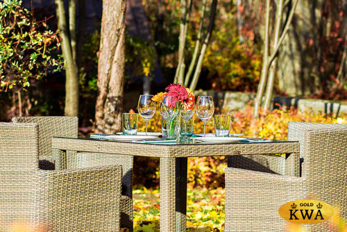 Обеденный комплект AROMA на 4 персоны