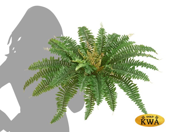 Папоротник Бостон насыщ.зеленый (33 листа)