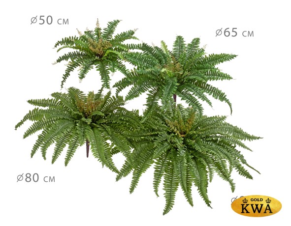 Папоротник Бостон насыщ.зеленый (33 листа)