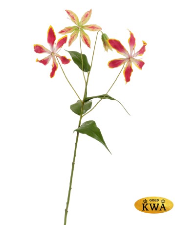 Глориоза ветка тёмно-розовая с жёлтым в-75 см 3цв (д-14 и 17 см) 1бут 6/48