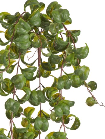 Фикус Бенджамина Барок ампельный (пластик) в-60 см 6/48