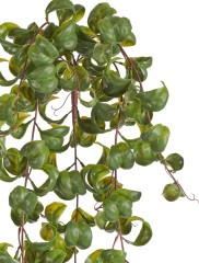 Фикус Бенджамина Барок ампельный (пластик) в-60 см 6/48