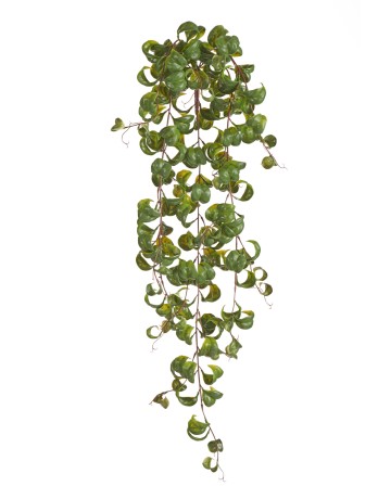 Фикус Бенджамина Барок ампельный (пластик) в-60 см 6/48