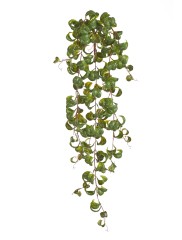 Фикус Бенджамина Барок ампельный (пластик) в-60 см 6/48