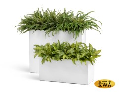Кашпо TREEZ Effectory Gloss Высокий Дивайдер Белый глянцевый лак в-75, д-92, ш-25 см 1/1