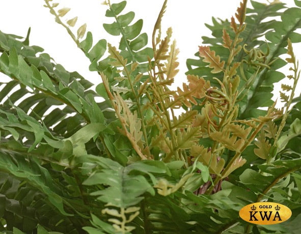 Папоротник Бостон Новый натуральный зеленый в-30 см, д-95 см (57 листов) 6/36