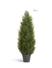 Туя уличная Брабант пушистая в-270 см 1/1