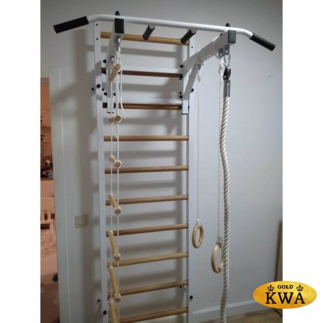 Шведская стенка комбинированная - КОМБИ - ТСН (стенка + турник семейный навесной)