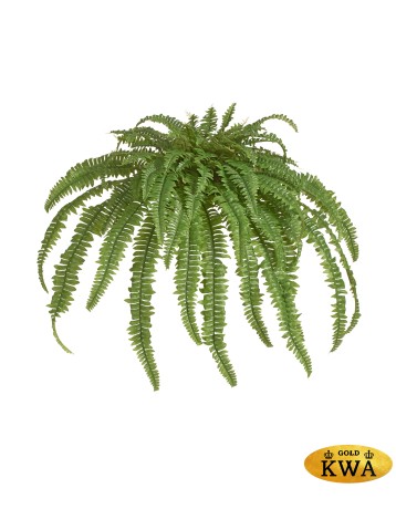 Папоротник Бостон Новый свисающий Мидл натуральный зеленый ш-80 см, в-110 см(78 листов) 2/4