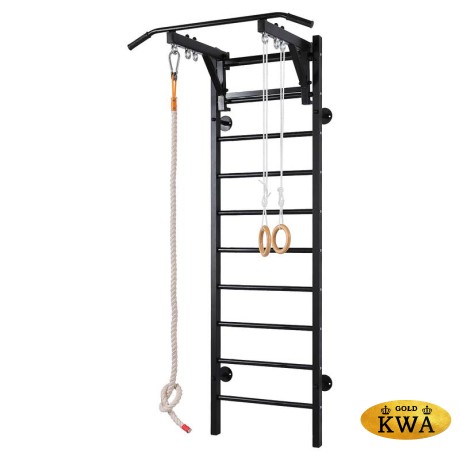 Шведская стенка металлическая - ПРОФ P - ТСН Металл-ПВХ (стенка + турник семейный навесной)