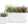 Кашпо TREEZ Effectory Gloss Низкий узкий прямоугольник Белый глянцевый лак д-60, ш-26, в-30 см