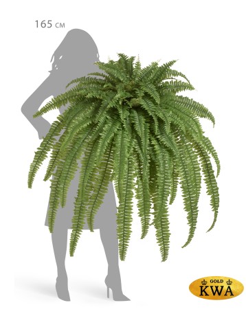 Папоротник Бостон Новый свисающий Лардж натуральный зеленый ш-до 90 см, в-125 см (84 листа) 2/4