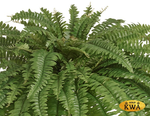 Папоротник Бостон Новый свисающий Лардж натуральный зеленый ш-до 90 см, в-125 см (84 листа) 2/4