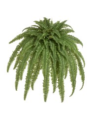 Папоротник Бостон Новый свисающий Лардж натуральный зеленый ш-до 90 см, в-125 см (84 листа) 2/4