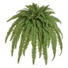 Папоротник Бостон Новый свисающий Лардж натуральный зеленый ш-до 90 см, в-125 см (84 листа) 2/4