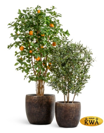 Кашпо TREEZ Effectory Metal Конус-чаша Rough с золотой патиной в-30 см, д-30 см