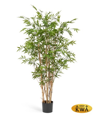 Бамбук Новый Японский Элегант 180 см 2/2