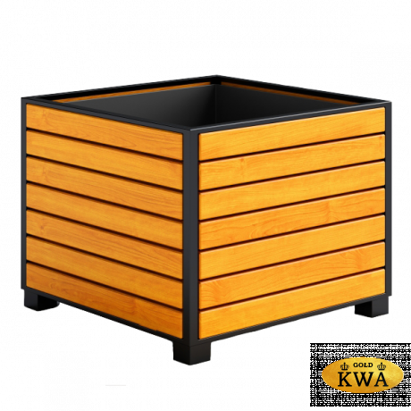 Вазон Визави