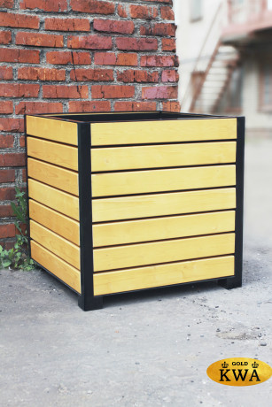 Вазон Визави