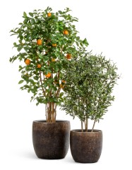 Кашпо TREEZ Effectory Metal Конус-чаша Rough с золотой патиной в-40 см, д-40 см