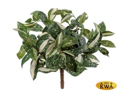 Кордилина Тини куст в-30 см 12/144