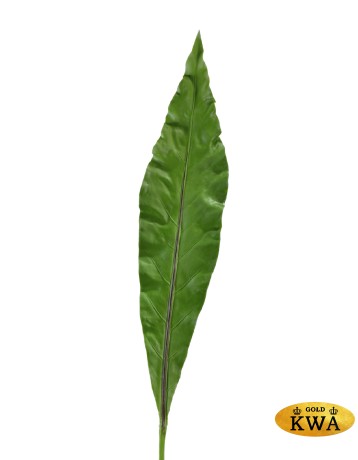 Лист Антуриума Король Джунглей в-105, ш-16 см 12/36