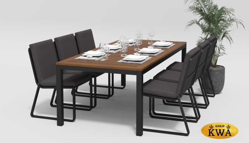 Обеденная группа Bella carbon