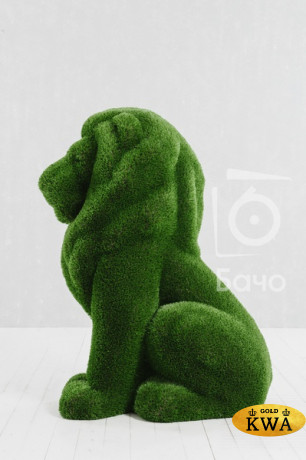 Топиари ландшафтная фигура Лев малый