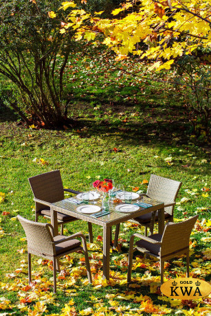 Обеденный комплект ROME на 4 персоны с креслами