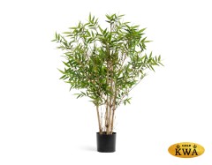 Бамбук Японский ориенталь 120 см 2/2