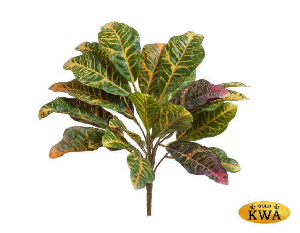 Кротон куст зелёно-жёлто-розовый в-30 см (Sensitive Botanic) 12/96