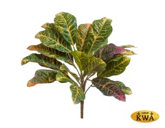 Кротон куст зелёно-жёлто-розовый в-30 см (Sensitive Botanic) 12/96